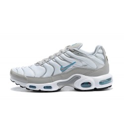 Perfect Kicks Mens Nike Air Max Plus Tn Grey White CZ7552-002 Running Shoes