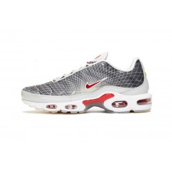 Perfect Kicks Mens Nike Air Max Plus Tn Grey and White Running Shoes