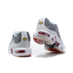 Perfect Kicks Mens Nike Air Max Plus Tn Grey and White Running Shoes